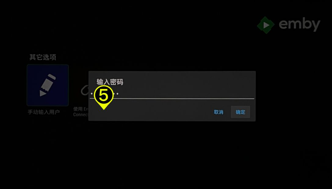 Emby安卓TV使用教程